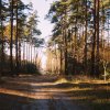 konkurs-fotograficzny-08053