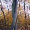 konkurs-fotograficzny-09005